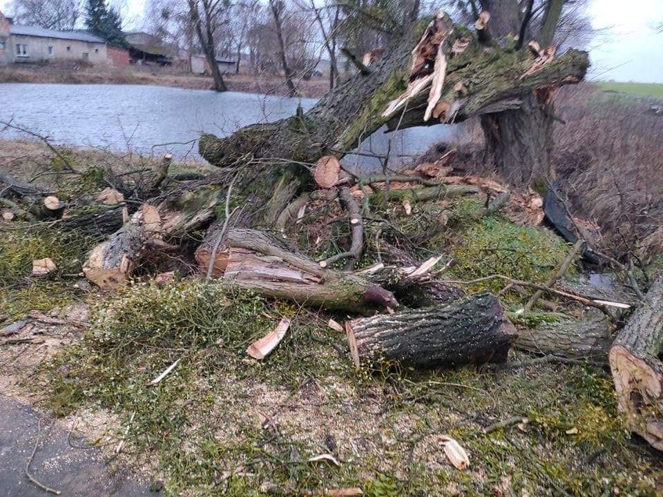 Strażacy usuwali skutki nawałnicy GALERIA ZDJĘĆ