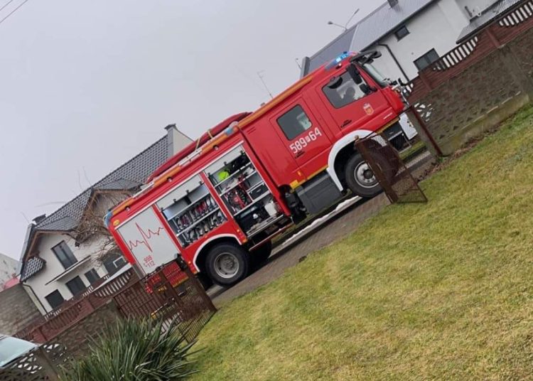 Kot wpadł do studni. Interweniowali strażacy