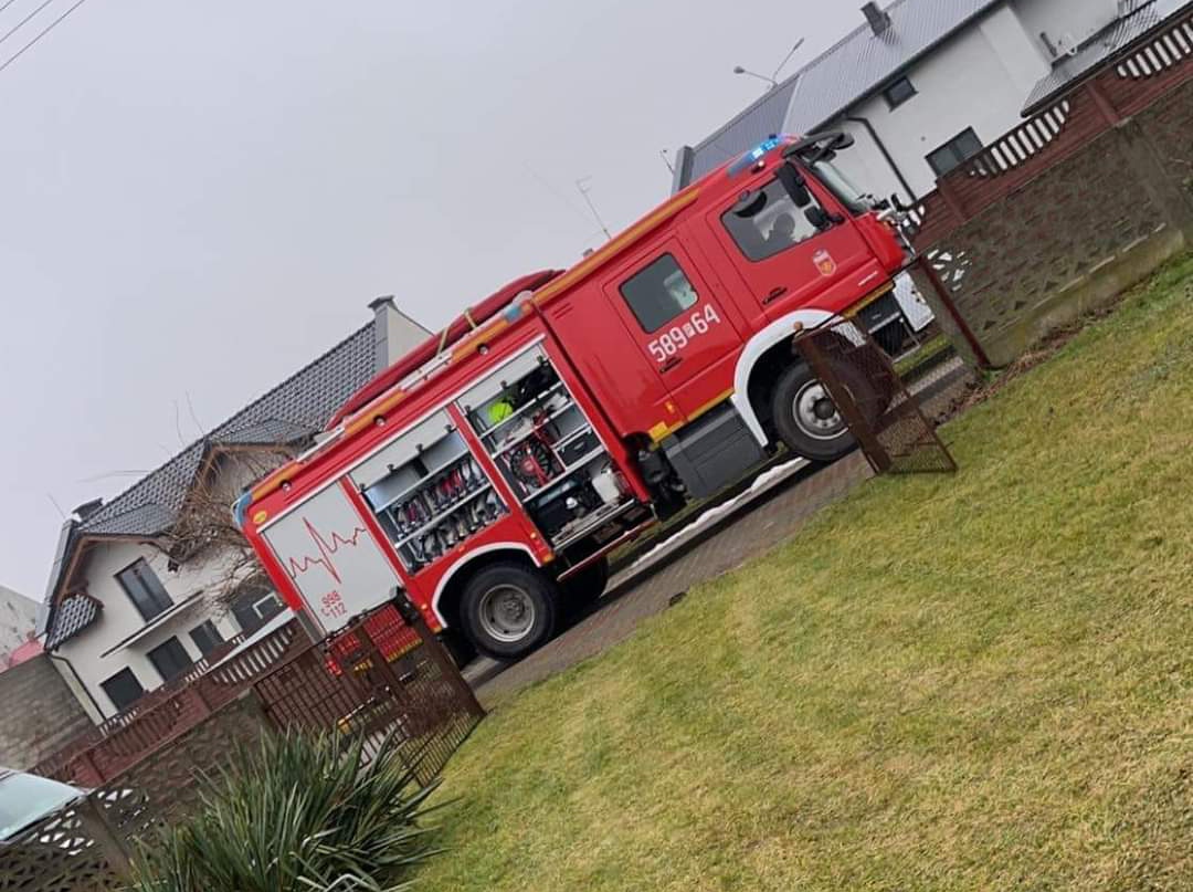 Kot wpadł do studni. Interweniowali strażacy