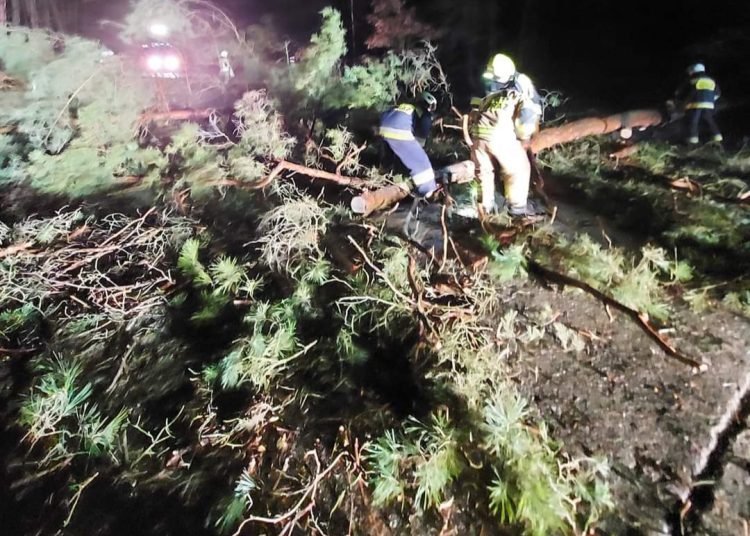 Wichura powaliła drzewa. Interweniowali strażacy