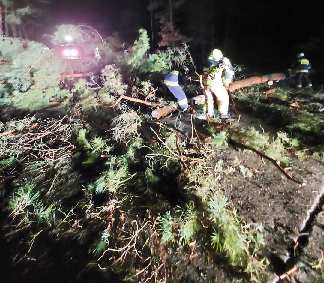 Wichura powaliła drzewa. Interweniowali strażacy