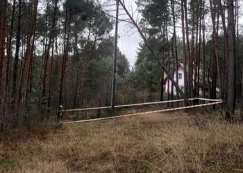 Drzewo wisiało na liniach energetycznych