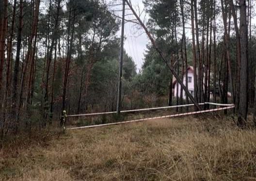 Drzewo wisiało na liniach energetycznych