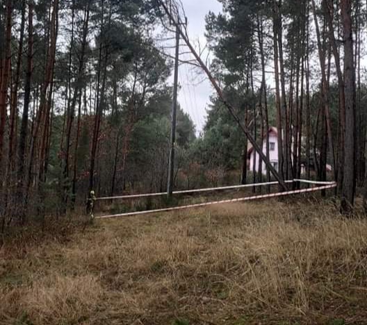 Drzewo wisiało na liniach energetycznych