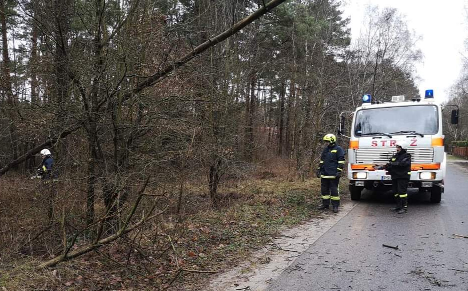 Usuwali pochylone nad jezdnią drzewa