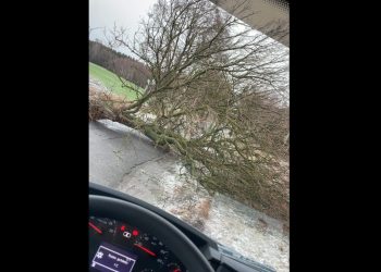 Wiatr narobił szkód w powiecie