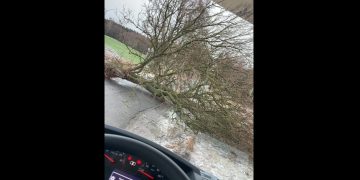 Wiatr narobił szkód w powiecie