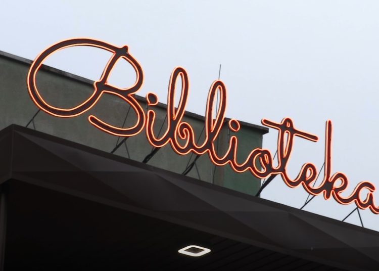 Ferie w bibliotece. Zobacz program