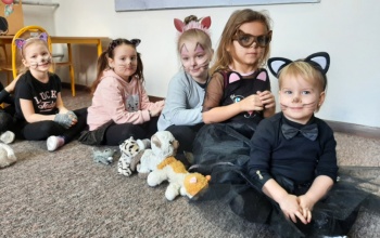 Dzień Kota w Cieninie Zabornym