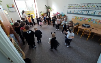 Dzień Kota w Cieninie Zabornym