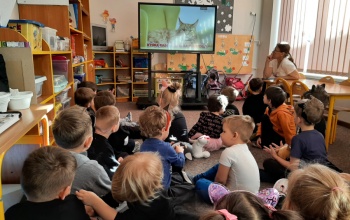 Dzień Kota w Cieninie Zabornym