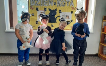 Dzień Kota w Cieninie Zabornym