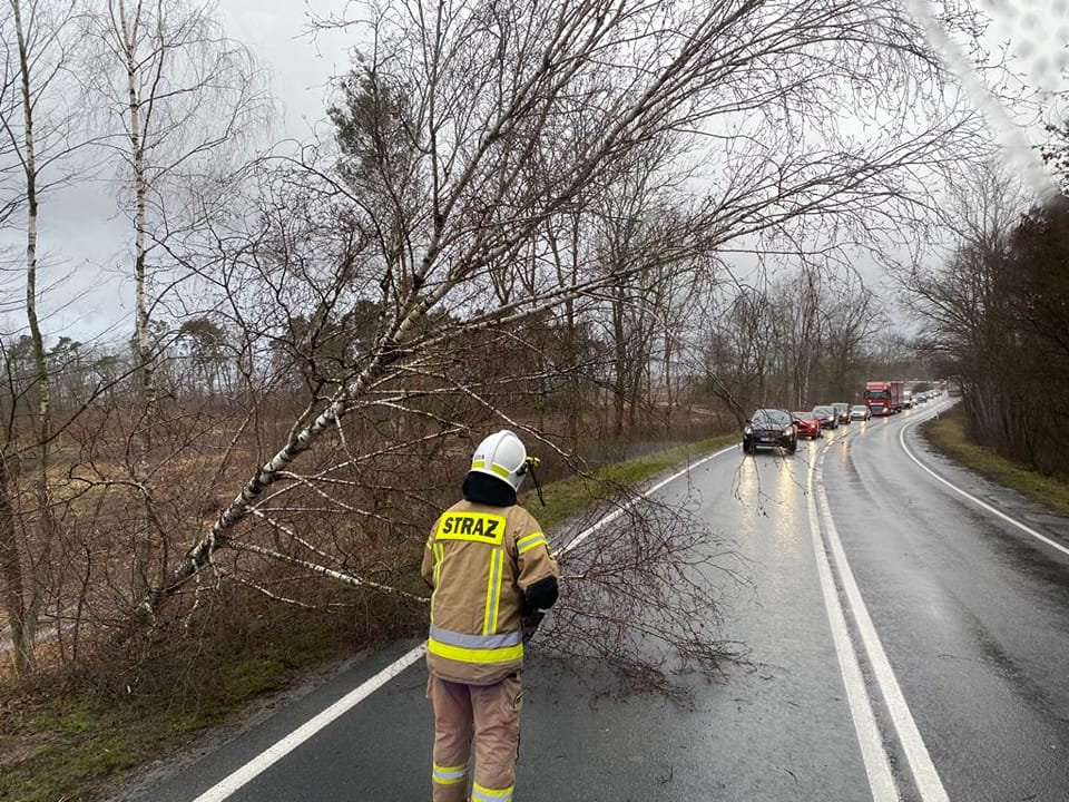 Gmina Strzałkowo: zniszczenia po wichurach GALERIA ZDJĘĆ
