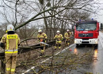 Gmina Strzałkowo: zniszczenia po wichurach GALERIA ZDJĘĆ