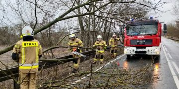 Gmina Strzałkowo: zniszczenia po wichurach GALERIA ZDJĘĆ