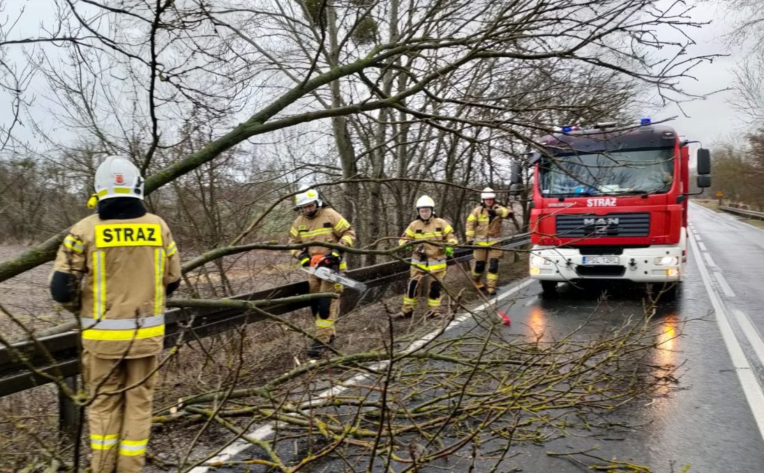 Gmina Strzałkowo: zniszczenia po wichurach GALERIA ZDJĘĆ