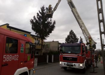 Druhowie z Piotrowic i Słupcy w akcji. Wichura nie odpuszcza