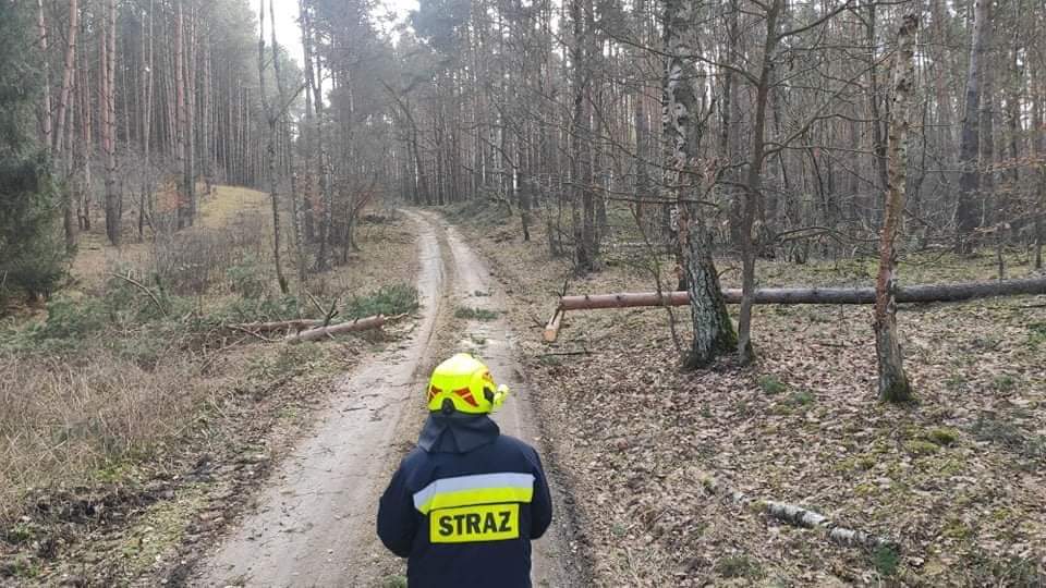 Pracowita sobota powidzkich strażaków GALERIA ZDJĘĆ