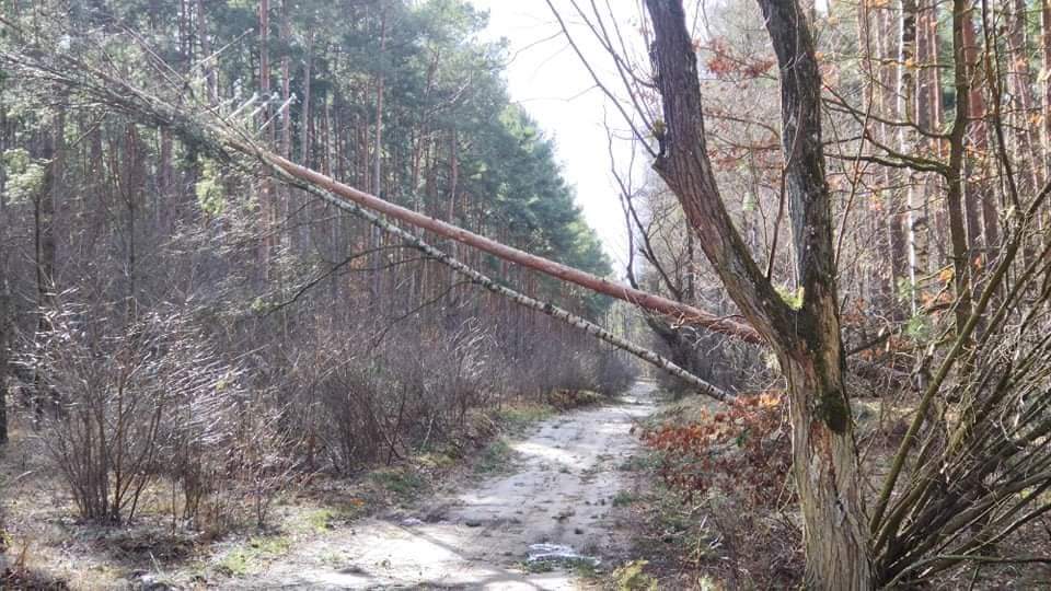 Pracowita sobota powidzkich strażaków GALERIA ZDJĘĆ