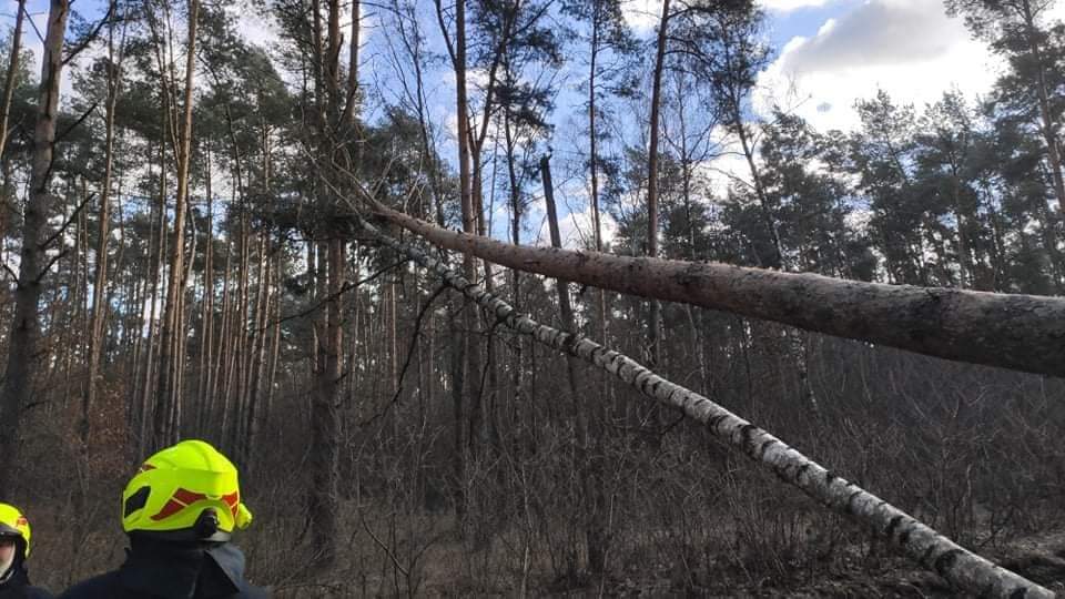 Pracowita sobota powidzkich strażaków GALERIA ZDJĘĆ