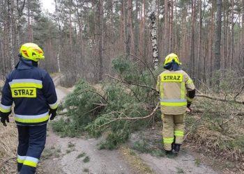 Pracowita sobota powidzkich strażaków GALERIA ZDJĘĆ