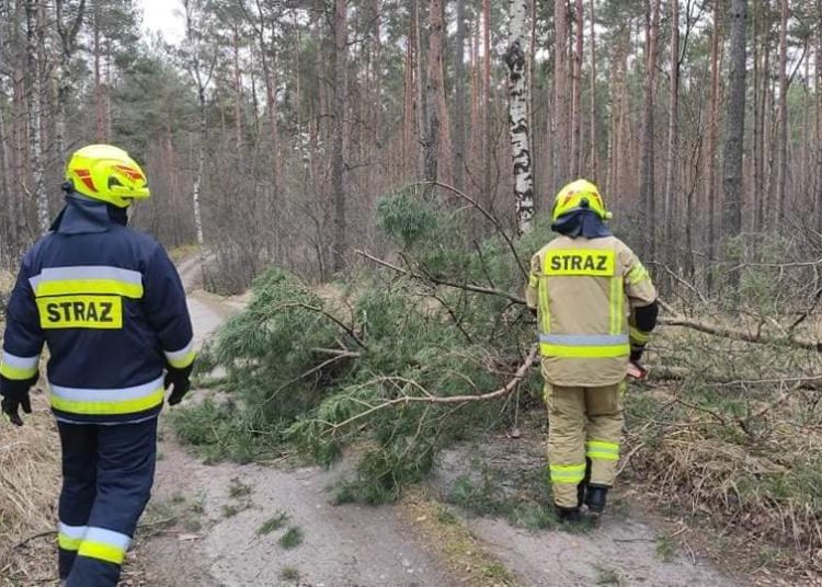 Pracowita sobota powidzkich strażaków GALERIA ZDJĘĆ
