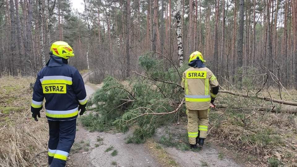 Pracowita sobota powidzkich strażaków GALERIA ZDJĘĆ