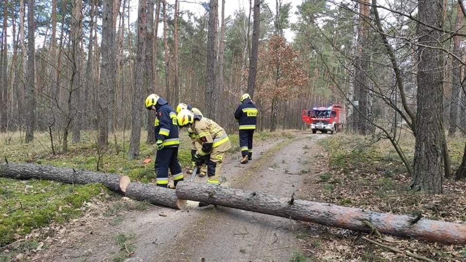 Pracowita sobota powidzkich strażaków GALERIA ZDJĘĆ