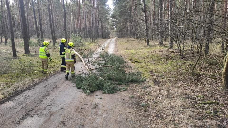 Pracowita sobota powidzkich strażaków GALERIA ZDJĘĆ