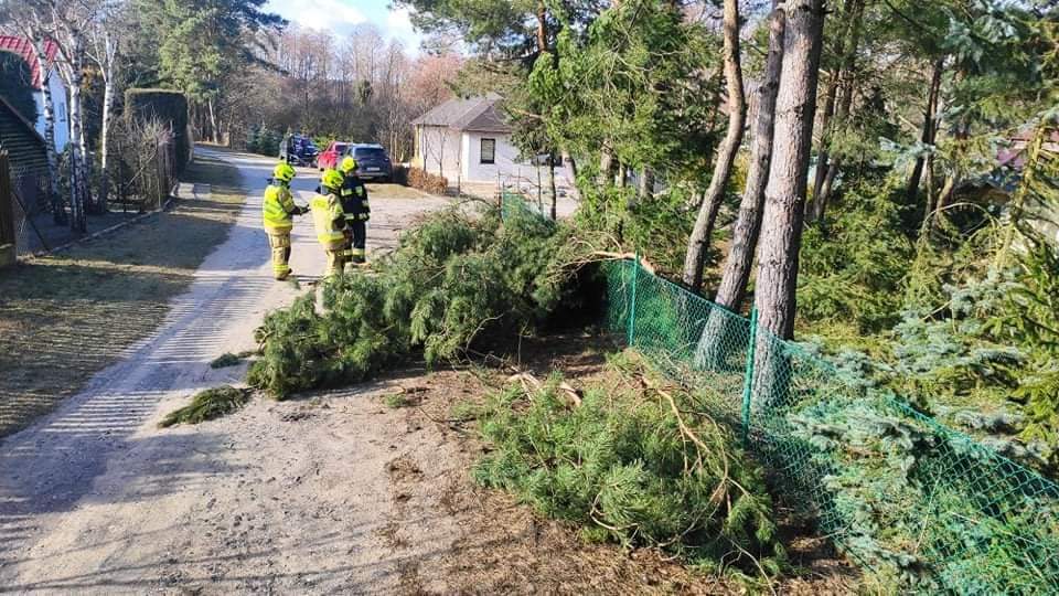 Pracowita sobota powidzkich strażaków GALERIA ZDJĘĆ