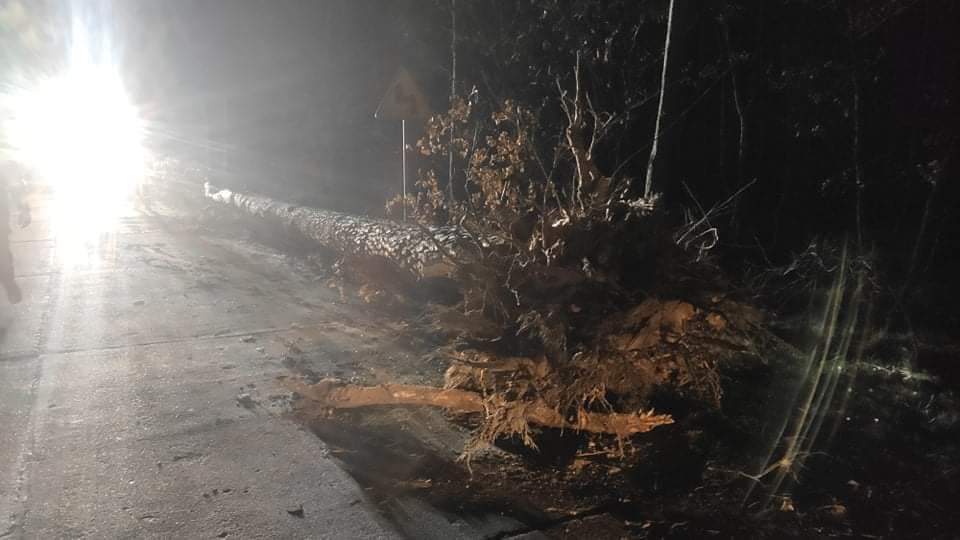 Pracowita sobota powidzkich strażaków GALERIA ZDJĘĆ