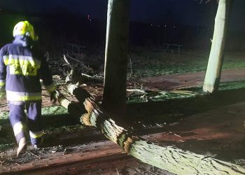 Drzewo wisiało nad promenadą