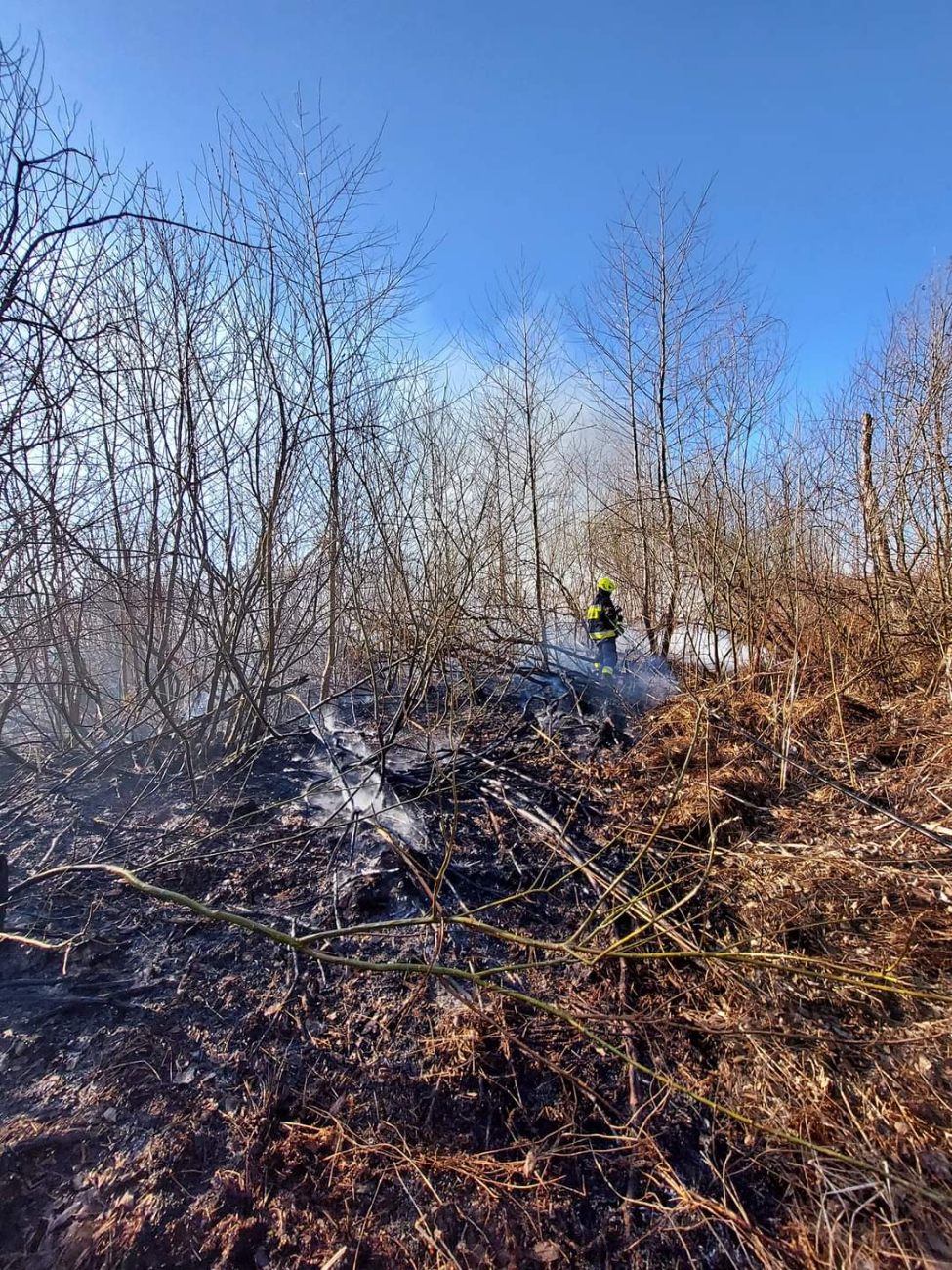 Gasili pożar trzciny