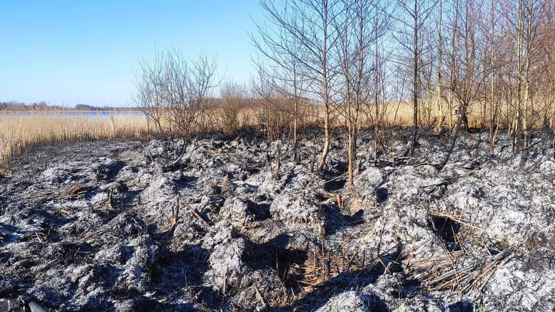 Gasili pożar trzciny