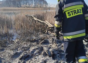 Gasili pożar trzciny