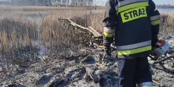 Gasili pożar trzciny