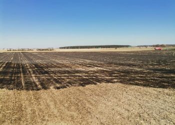 Paliło się ściernisko po kukurydzy