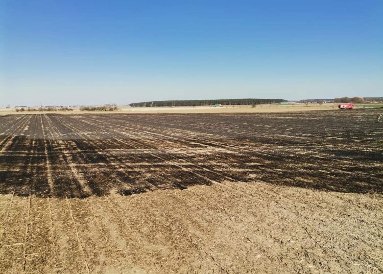 Paliło się ściernisko po kukurydzy