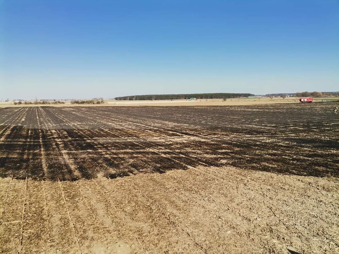 Paliło się ściernisko po kukurydzy