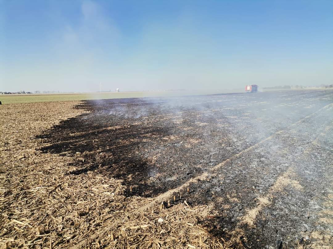 Paliło się ściernisko po kukurydzy