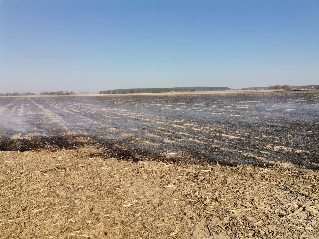 Paliło się ściernisko po kukurydzy