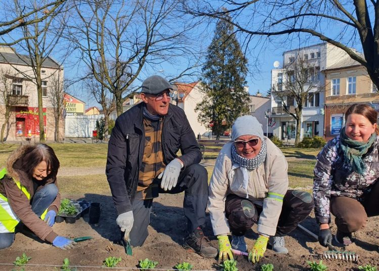 Wiosenne nasadzenia na rynku