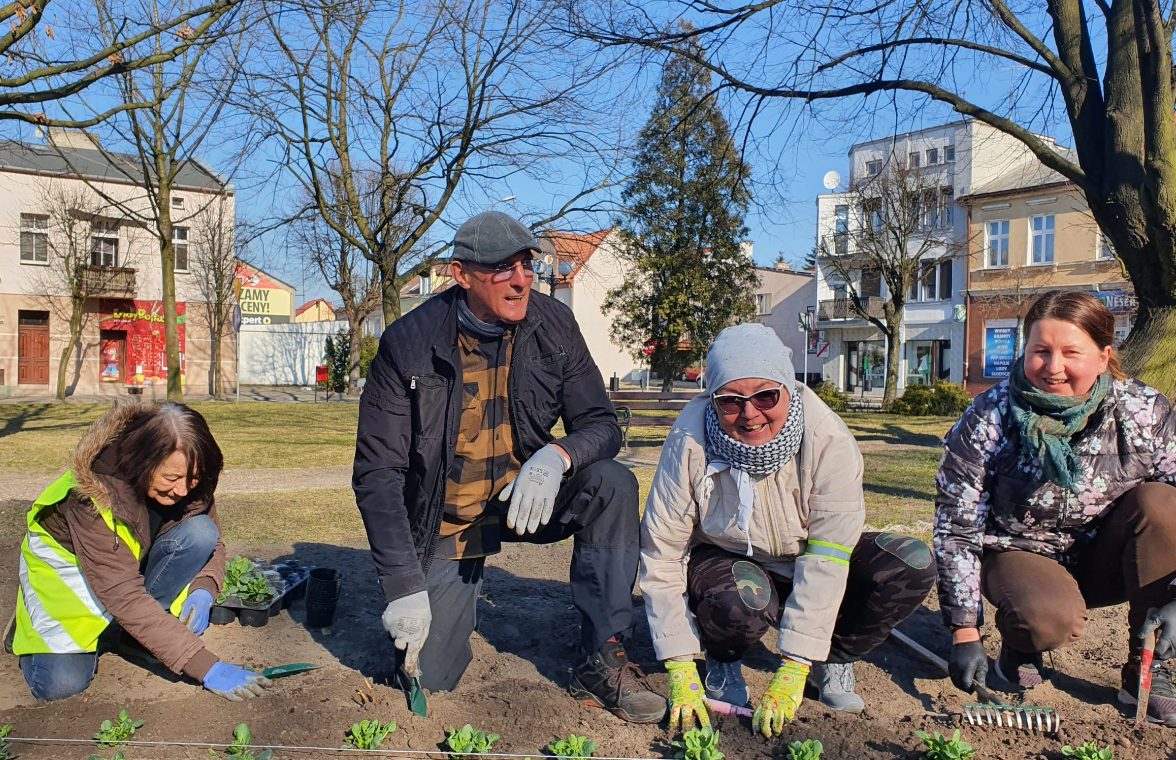 Wiosenne nasadzenia na rynku