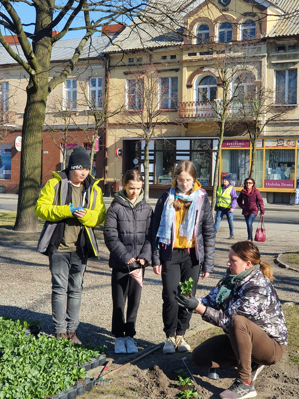 Wiosenne nasadzenia na rynku