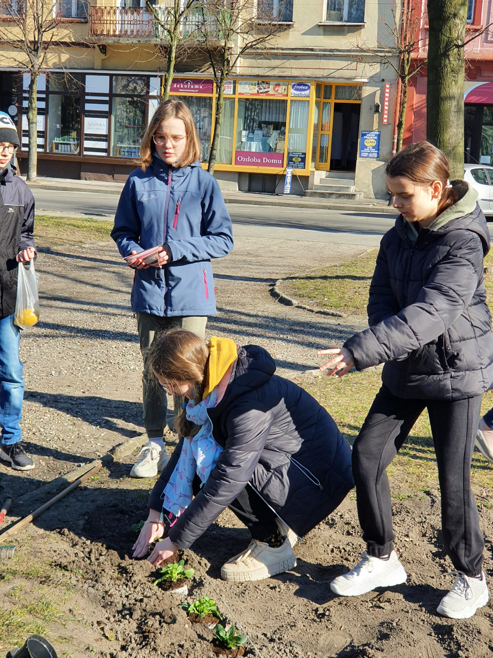 Wiosenne nasadzenia na rynku