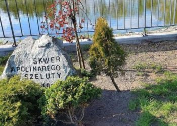 Chcą modernizować skwer Szeluty