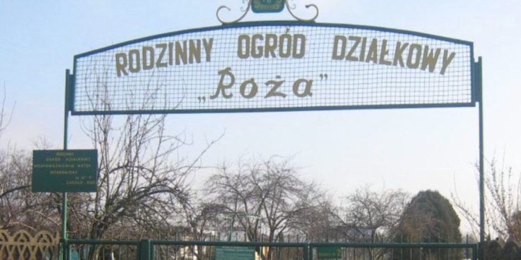 Ważne dla działkowców. Od dziś można…