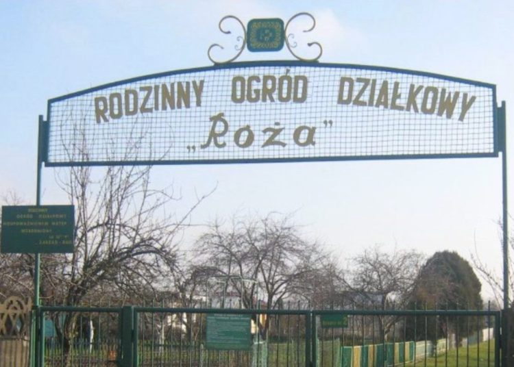 Ważne dla działkowców. Od dziś można…