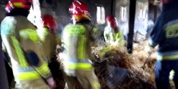 Podpalacz zatrzymany. To on wzniecił pożary w Kotuni