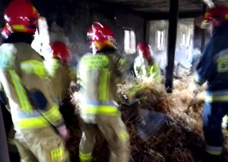 Podpalacz zatrzymany. To on wzniecił pożary w Kotuni